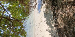 Bannière de la boutique